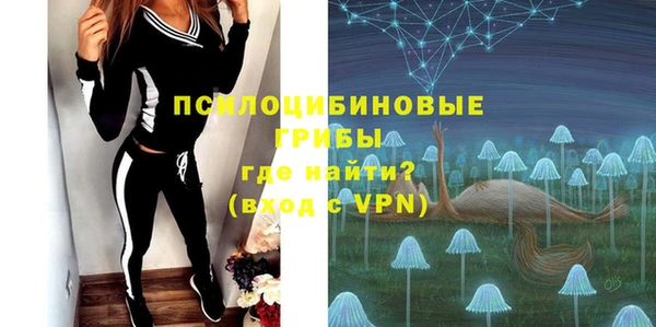 амф Горно-Алтайск