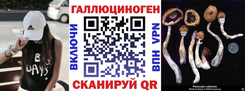 Купить где  Белый  Псилоцибиновые грибы Psilocybe 